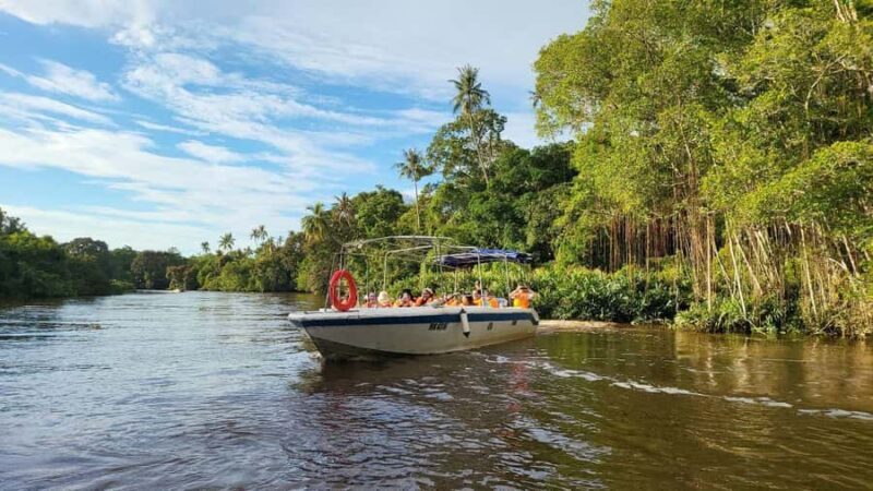 Kota Kinabalu: Kiulu Rafting & Klias Rivercurise Day Tours - Who This Tour Is Perfect For