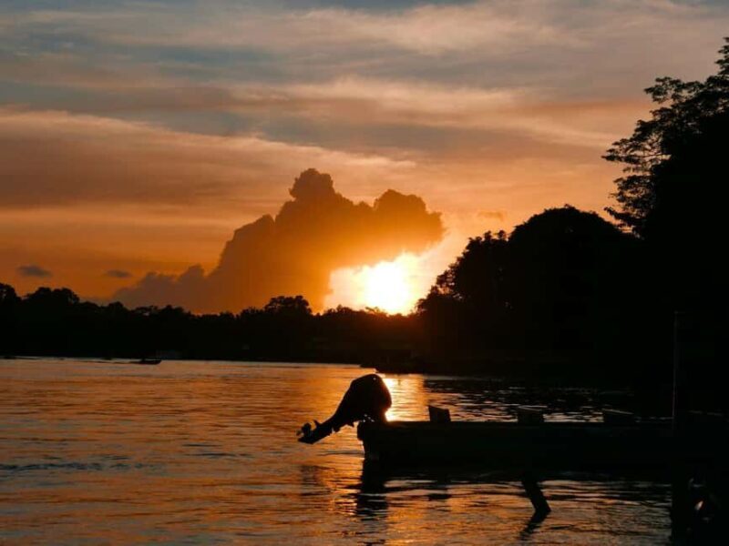 Kota Kinabalu: Klias River Cruise with Dinner and Fireflies - Final Thoughts