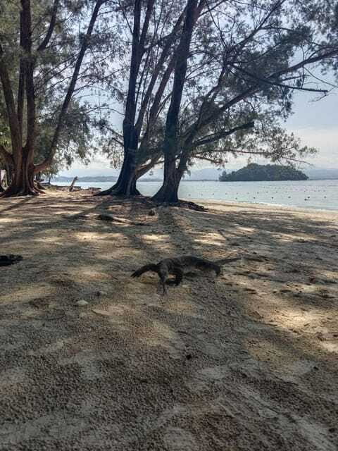 Kota Kinabalu: Manukan & Sapi Islands Snorkeling with Lunch - FAQ