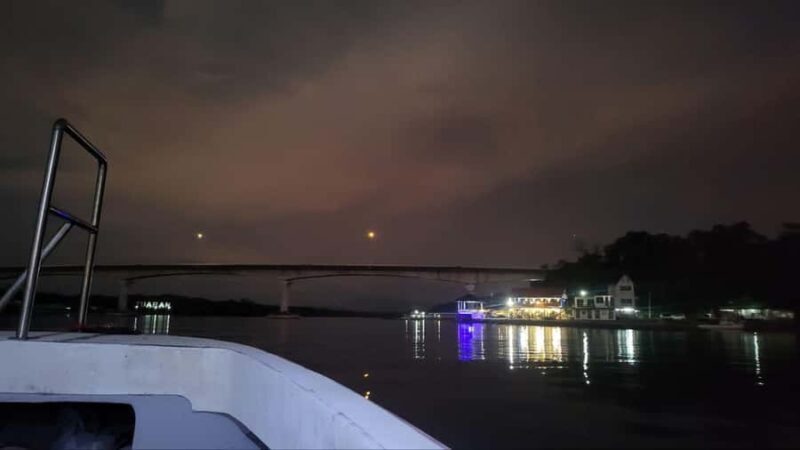 Kota Kinabalu: Mengkabong Fireflies River Cruise - Good To Know