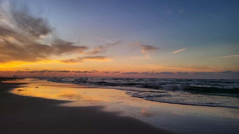 Kota Kinabalu: Mengkabong Fireflies River Cruise - Who Should Consider This Tour?