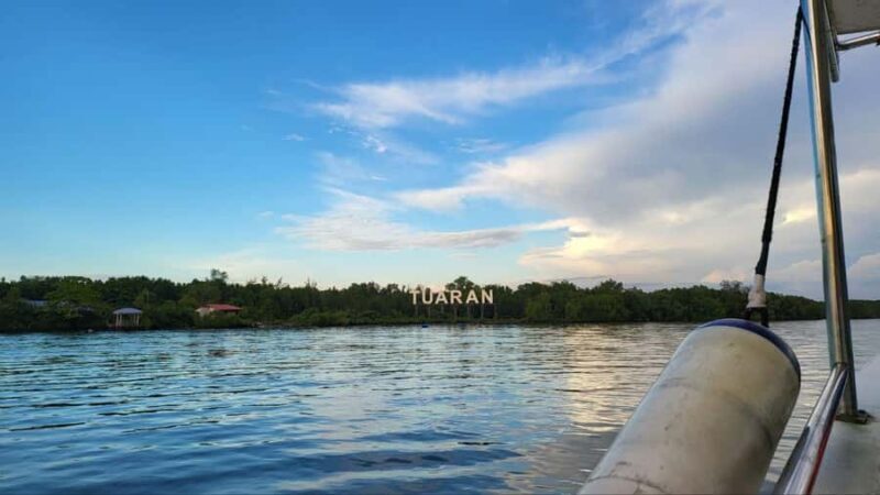 Kota Kinabalu: Mengkabong Fireflies River Cruise - Good To Know