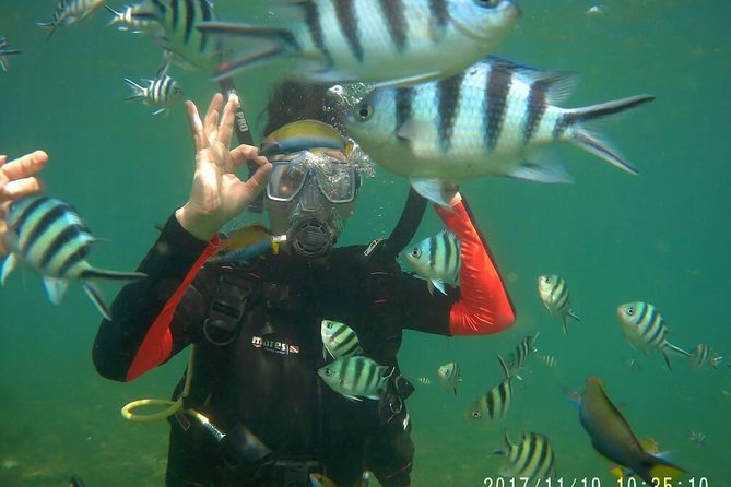 Kota Kinabalu P2 Private Island Scuba Discovery Tour + BBQ Lunch - Good To Know