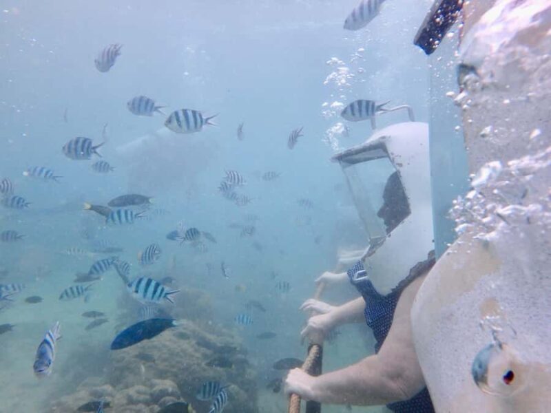 Kota Kinabalu: Seawalking, Snorkelling, Leisure Beach - Who Is This Tour Best For?
