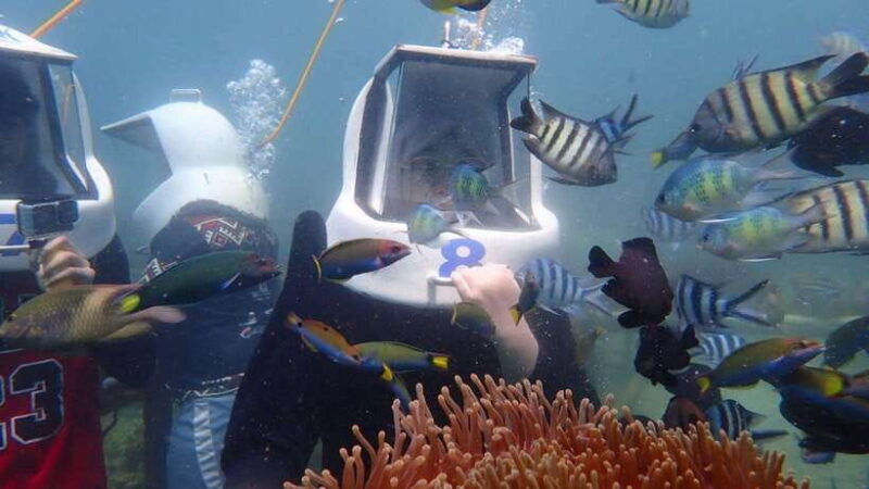 Kota Kinabalu: Snorkeling & Island Hopping Sapi & Manukan - Authentic Experiences and Realistic Expectations