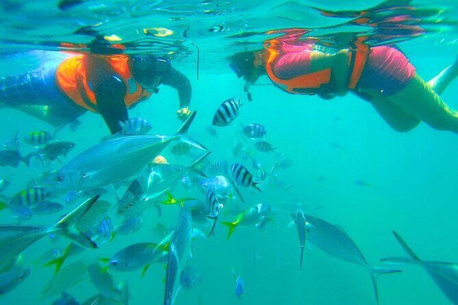 Kota Kinabalu Snorkeling Tour at Manukan and Sapi Island - The Itinerary Breakdown: What to Expect at Each Stop