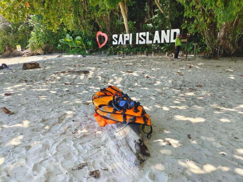 Kota Kinabalu: Twin Island Day Trip Tour ( Sapi & Manukan ) - Snorkeling and Marine Life: What You Need to Know