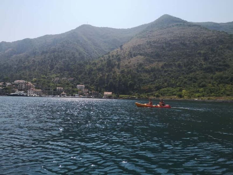 Kotor: Guided Kotor Bay Kayaking Tour - Itinerary Breakdown: What You Can Expect
