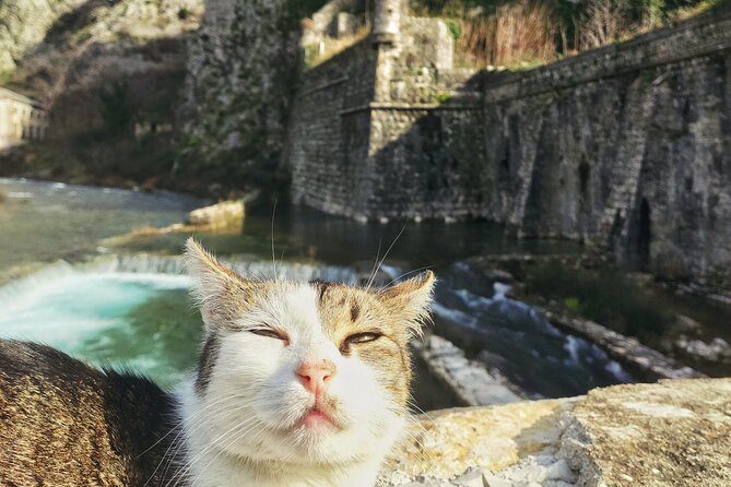 Kotor Old Town Private Walking Tour - Tour Overview