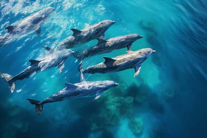 Kotor: Private Blue Cave and full bay of Kotor adventure - Who Will Love This Tour?