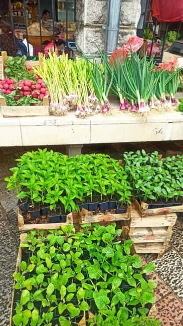 Kotor: Private Walking Tour with Wine and Food Tasting - FAQ