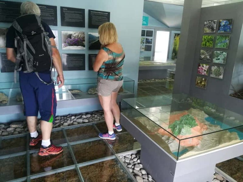 Kotor: Skadar Lake National Park with Wine Tasting - The Itinerary: What You Can Expect from Start to Finish