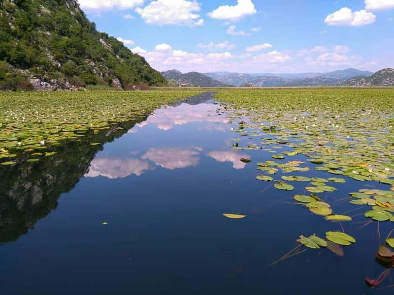 Kotor: Skadar Lake National Park with Wine Tasting - Authentic Experiences and Hidden Gems