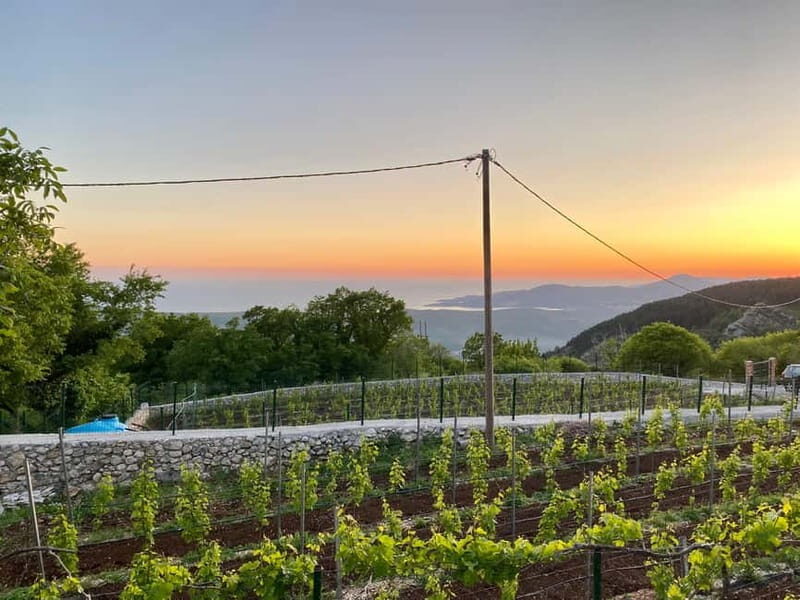 Kotor & Wine: Tasting the Charms Beneath Mount Lovcen - Exploring Kotor Old Town: A Walk Through Time