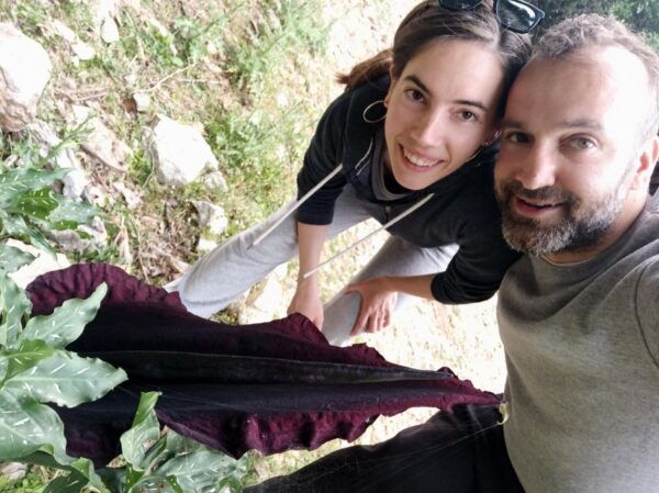 Kournas Lake: Hiking and Olive Oil Tasting - The Sum Up