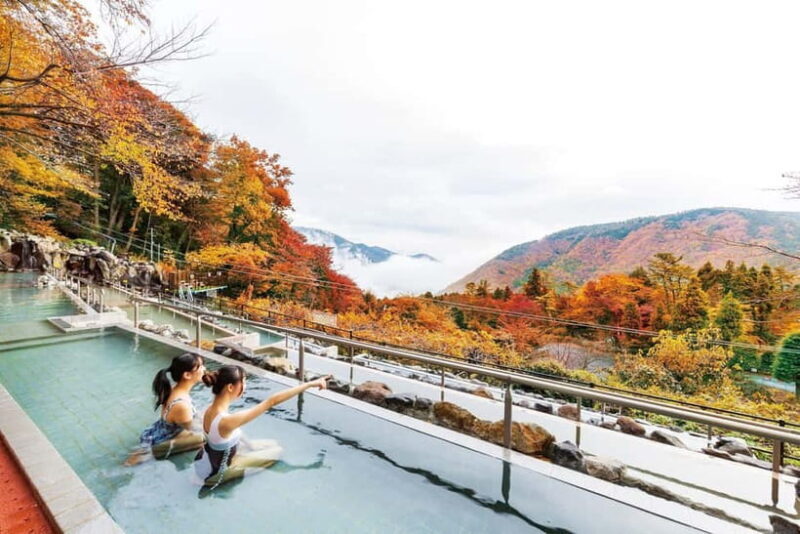 Kowakien Yunessun Hot Springs Entry Ticket - What to Expect at Hakone Kowakien Yunessun