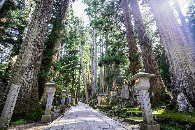 Koyasan Day Trip by Private Car from Osaka - Who Will Love This Tour?