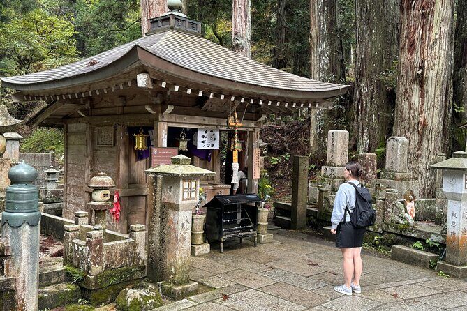 Koyasan: Half-Day Guided Tour - Okuno-in, Kongobuji & Danjo Garan - Who Should Consider This Tour?
