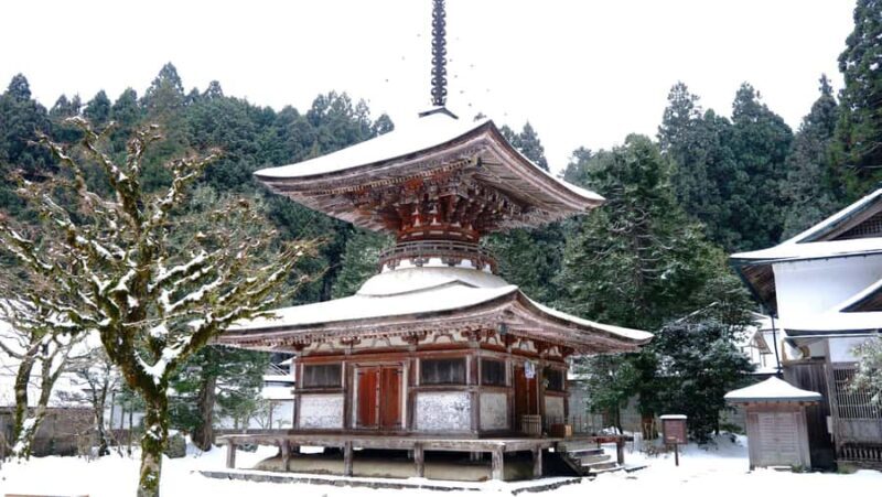 Koyasan Hidden Gems Day Trip From Osaka - Who Should Book This Tour?