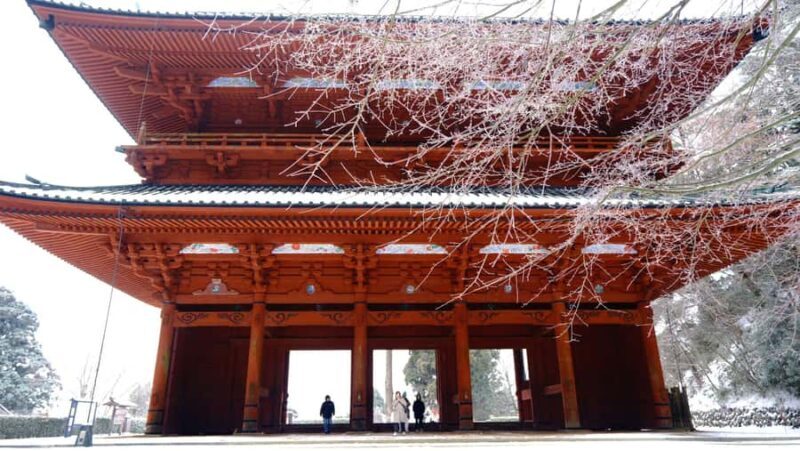 Koyasan Hidden Gems Day Trip From Osaka - Who Should Consider This Tour?