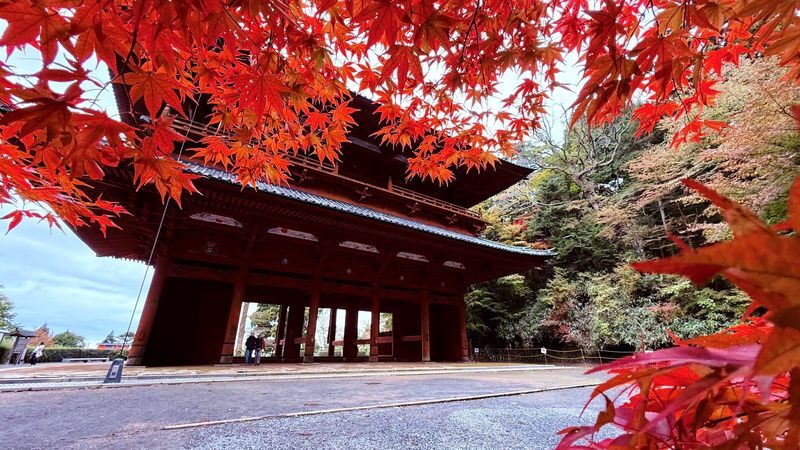 Koyasan & Okunoin Small Group Day Tour from Osaka - Leaving Osaka by small van