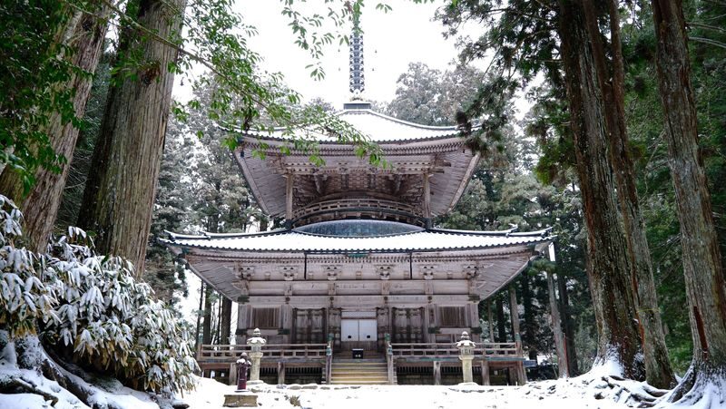 Koyasan & Okunoin Small Group Day Tour from Osaka - Danjo Garan and Kongobuji Temple