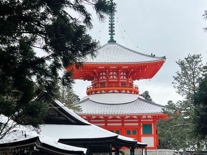 Koyasan & Okunoin Small Group Day Tour from Osaka - The Goma fire ritual