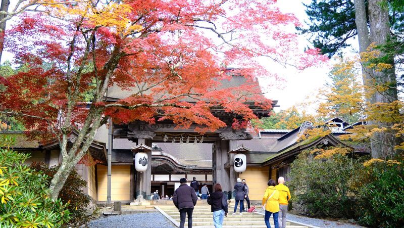Koyasan & Okunoin Small Group Day Tour from Osaka - Lunch, snacks, and the long ride back