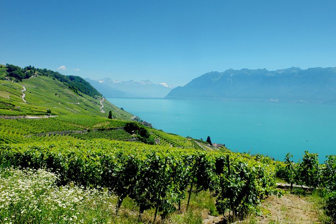 (Kpg300) - Private Tour to the Swiss Riviera From Geneva - Additional Information and FAQs