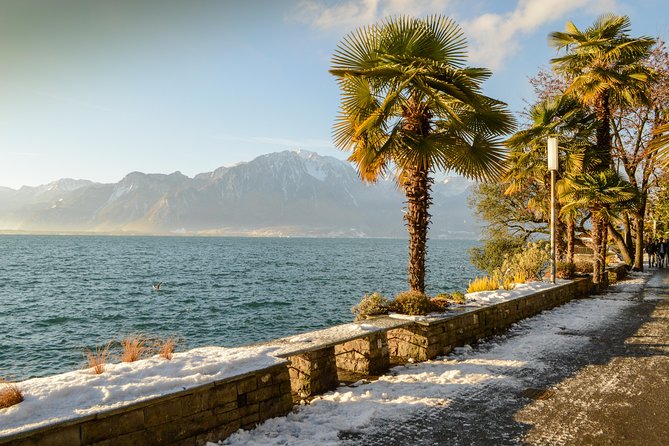 (Kpg300) - Private Tour to the Swiss Riviera From Geneva - Common Questions
