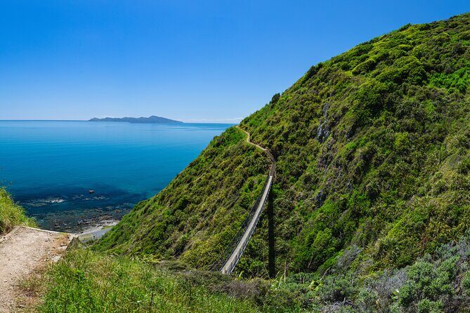 Kpiti Coast: Escarpment Track Guided Hiking Tour, Coffee + Lunch - An In-Depth Look at the Escarpment Track Guided Hiking Tour