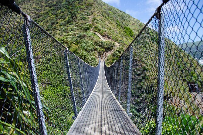 Kpiti Coast: Escarpment Track Guided Hiking Tour, Coffee + Lunch - Who Will Love This Tour?