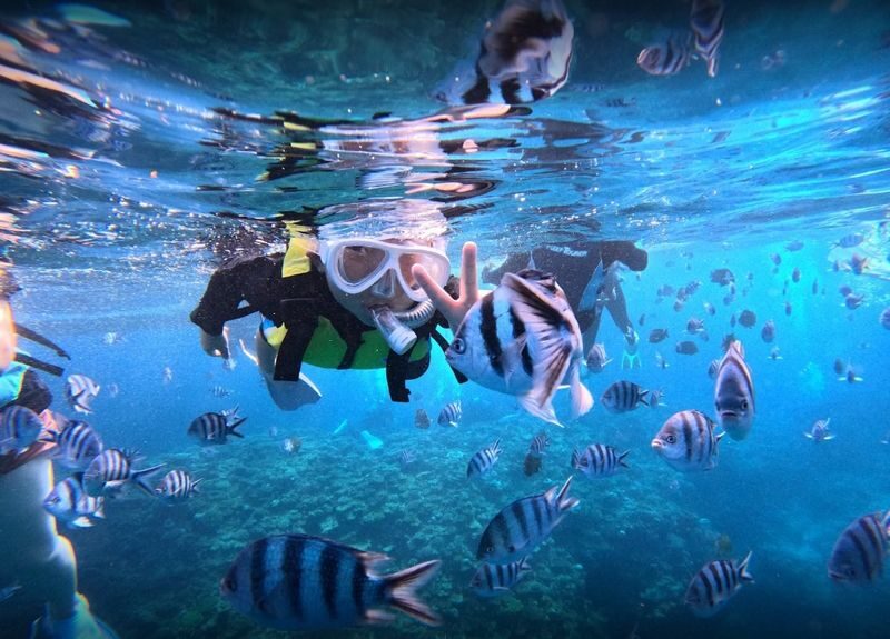 KR support: Okinawa Blue Cave Boat Snorkeling All-in-One experience - What the price covers, and what it does not