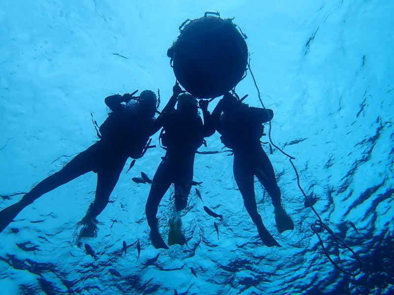 KR support: Okinawa Blue Cave Boat Snorkeling All-in-One experience - A few decisions to make before booking