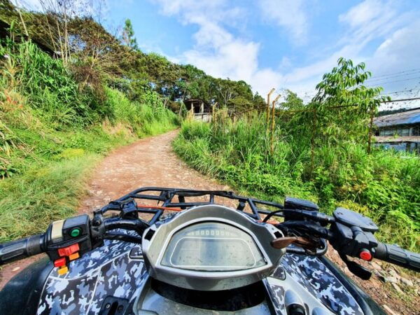 Krabi: 1-Hour ATV Adventure Through Beautiful Nature - Participant Requirements
