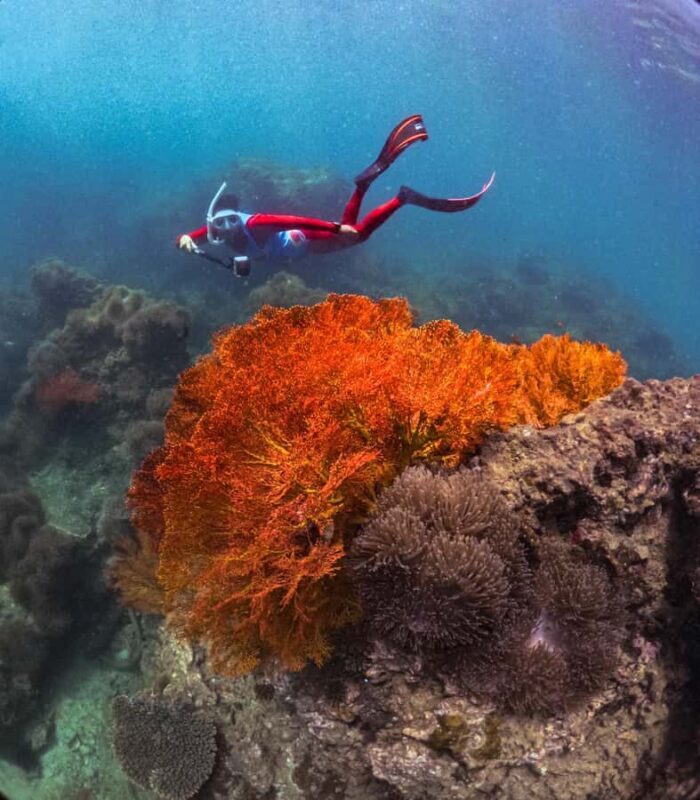 Krabi: 4-Island Freediving Day Tour with Lunch & Photos - Good To Know