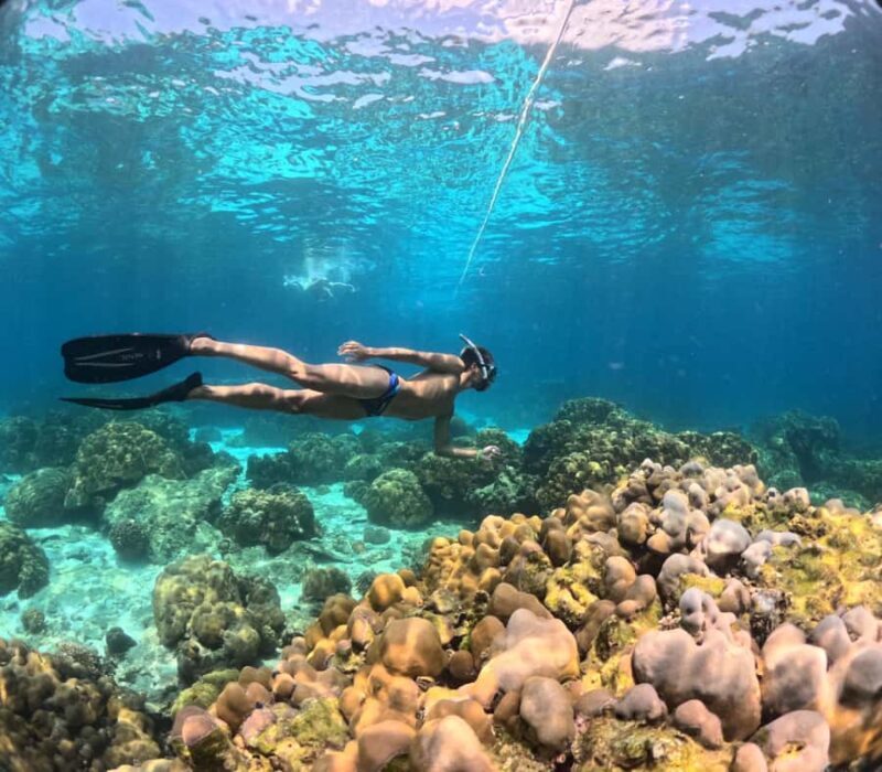 Krabi: 4-Island Freediving Day Tour with Lunch & Photos - Good To Know