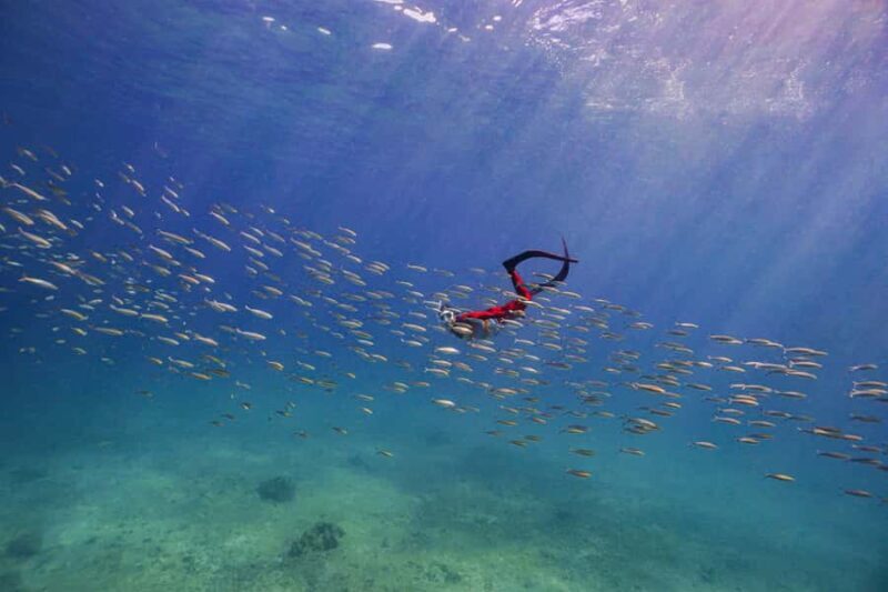 Krabi: 4-Island Freediving Day Tour with Lunch & Photos - In-Depth Look at the Itinerary & Experience