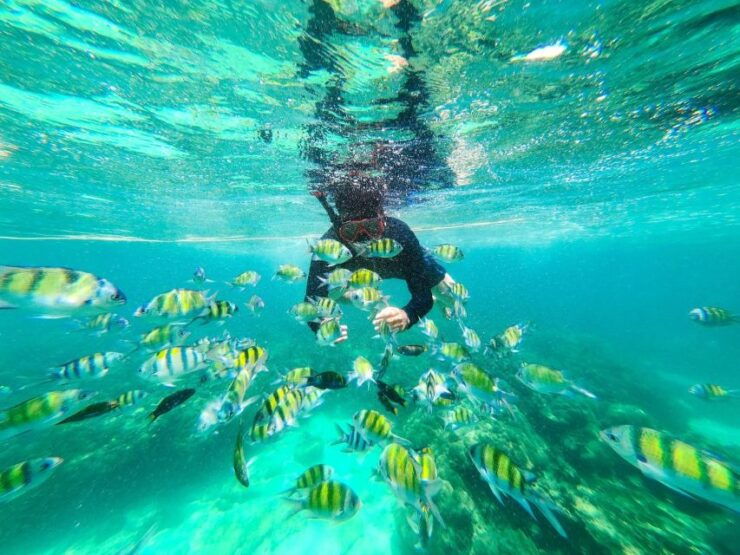 Krabi: 4 Islands Private Full-Day Tour by Longtail Boat - Booking Details