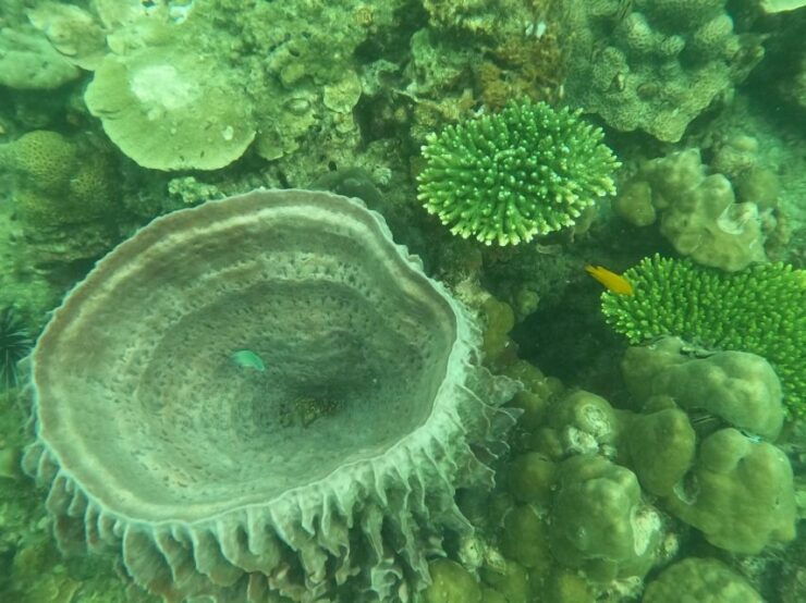 Krabi: 4 Islands Separated Sea - The Unseen of Thailand Tour - Inclusions and Experiences