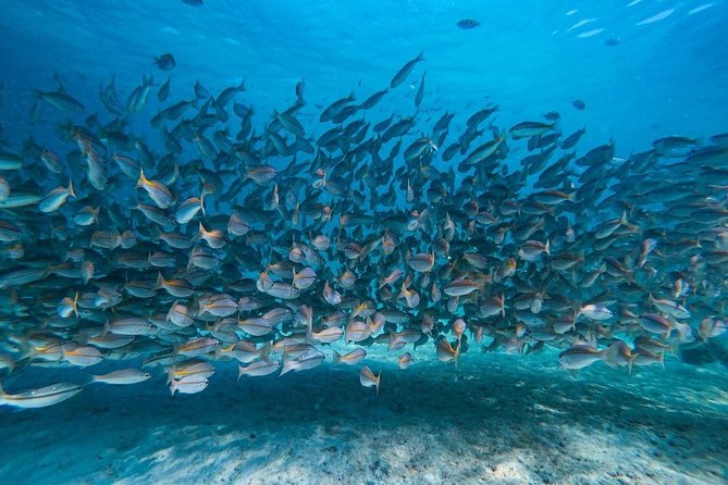 Krabi 7 Islands by Longtail Boat Sunset With Luminescent Plankton Swim & BBQ - Negative Review Response