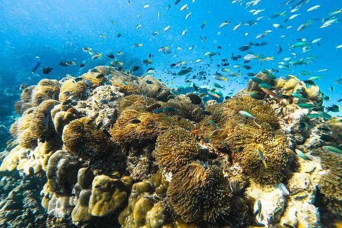 Krabi 7 Islands by Longtail Boat Sunset With Luminescent Plankton Swim & BBQ - Common Questions