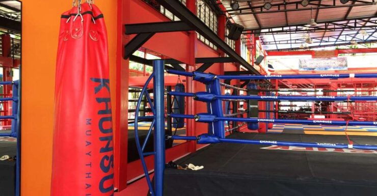 Krabi: 90-Minute Muay Thai Lesson - Small Group Setting and Instructor