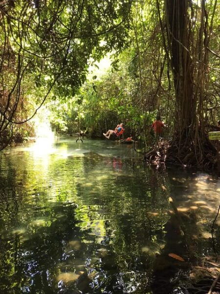 Krabi: Amazon Klong Srakaew Kayaking And Elephant Feeding - Questions You May Have