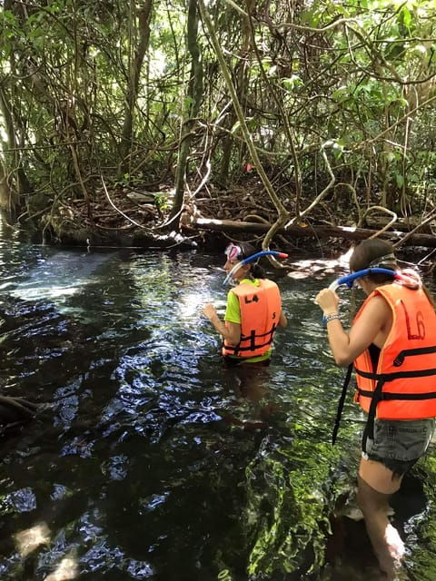 Krabi: Amazon Klong Srakaew Kayaking With Lunch - Good To Know