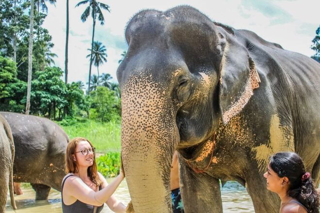 Krabi: Ao Nang Elephant Sanctuary Half-Day Tour - Highlights