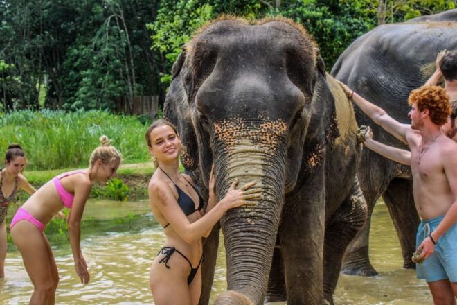 Krabi: Ao Nang Elephant Sanctuary Half-Day Tour - Customer Reviews