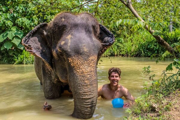 Krabi: Ao Nang Elephant Sanctuary Half-Day Tour - Transportation Rating