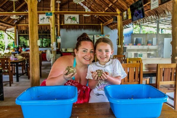 Krabi: Ao Nang Elephant Sanctuary Half-Day Tour - Common Questions