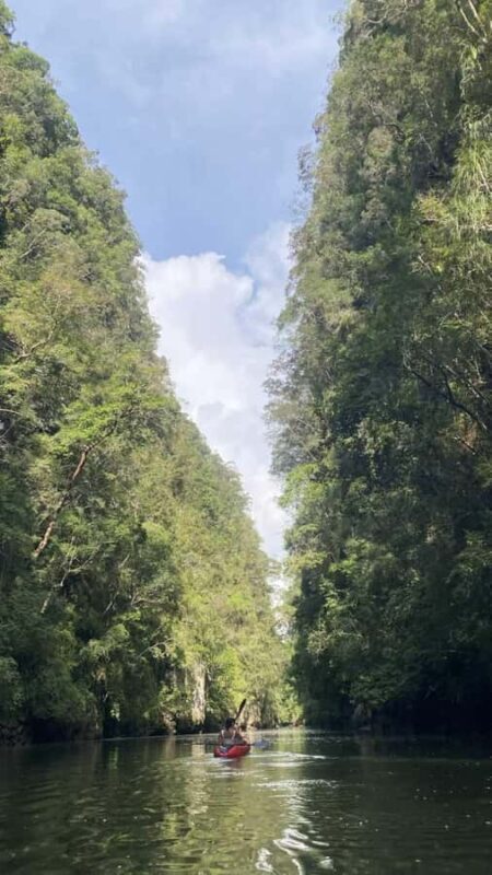 Krabi: Ao Thalane Mangrove Kayaking Tour with Pickup - Final Thoughts: Is This Tour Right for You?